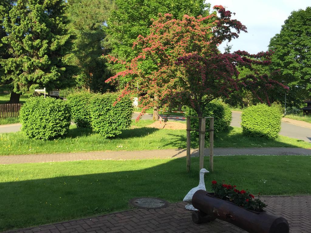 Ferienwohnung Haus Jasmin Sankt Andreasberg Exterior foto